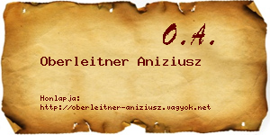 Oberleitner Aniziusz névjegykártya